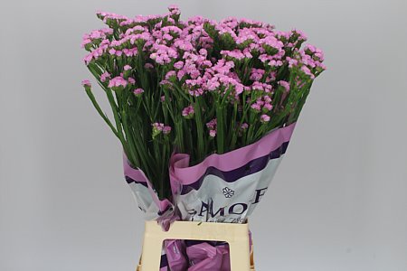СТАТИЦА Микс 