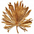 Вашингтония лист 1*1м